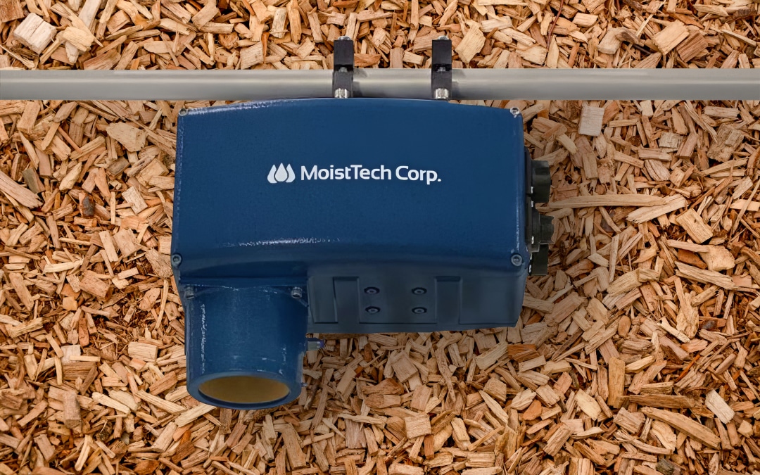 The Ultimate Guide in Choosing the Right Moisture Measurement Device for Wood